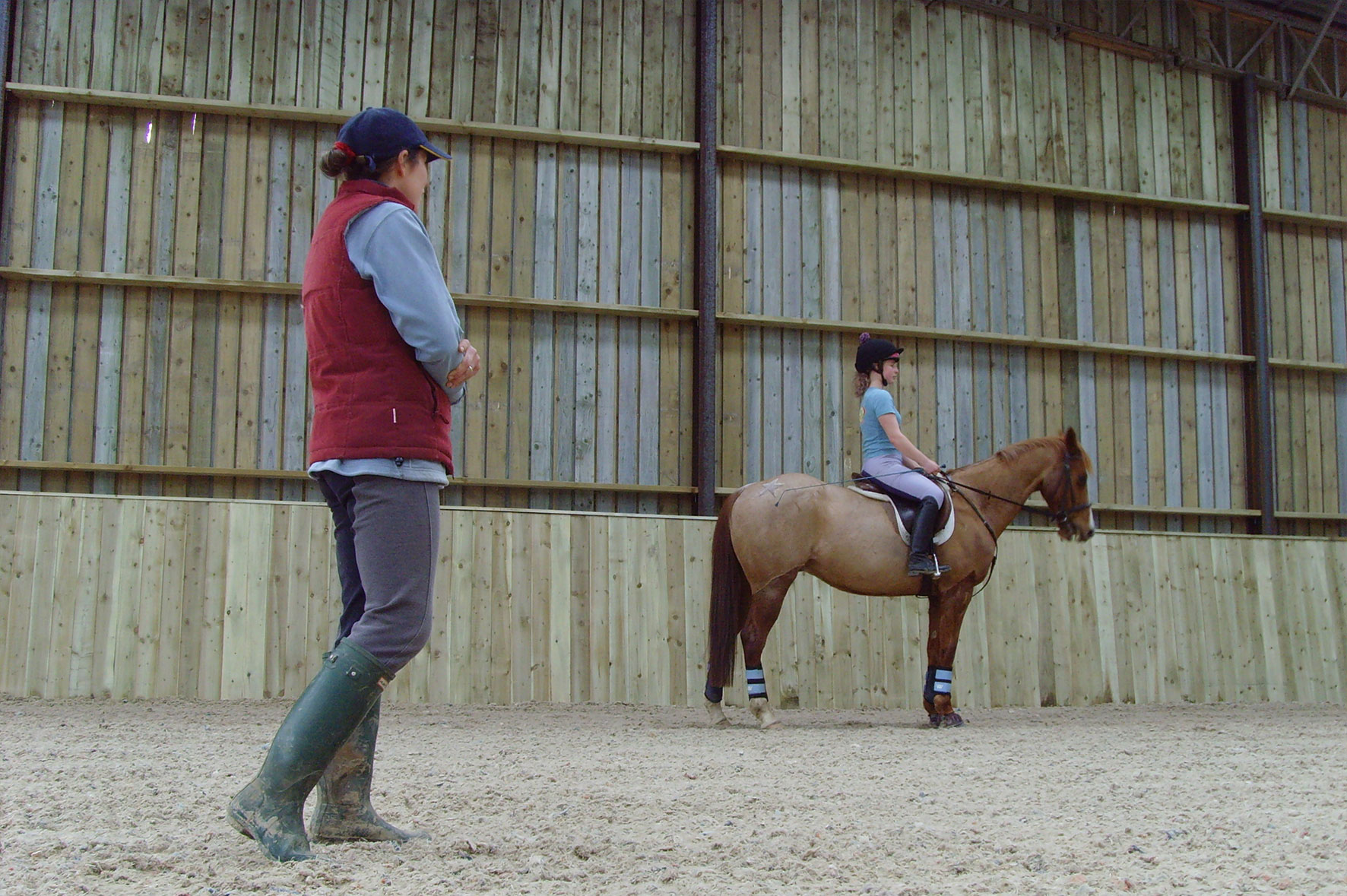 Cheston Farm Equestrian Centre Riding School, Pony Club and Riding