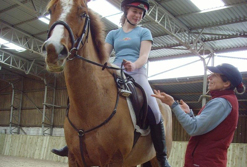 cheston-farm-clinics-2 cheston-farm-clinics-2